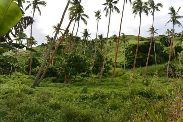 Bay Of Plenty Nature Lodge Nanuya Exterior foto